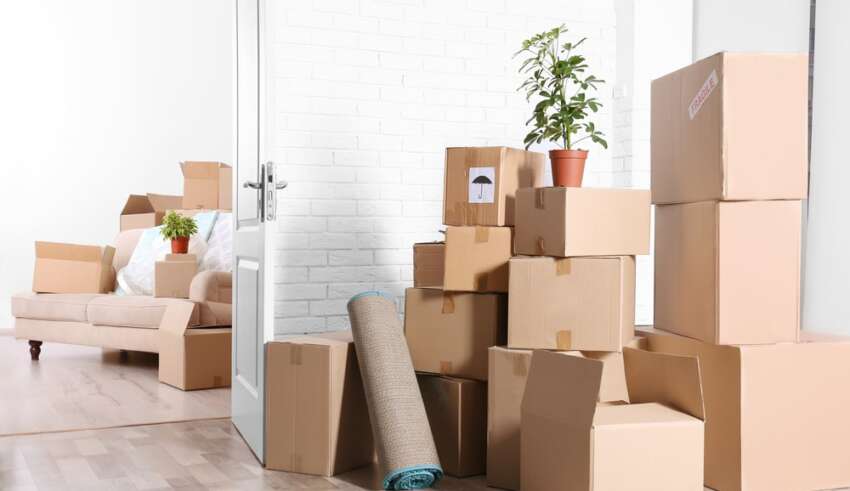 How to Organize a Last-Minute Move Effectively